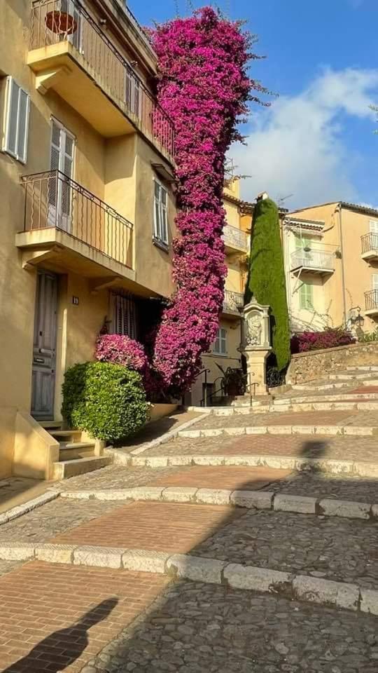 Cannes & More Exterior foto